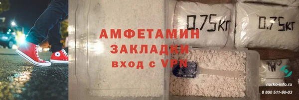 гидра Тавда