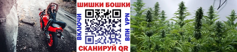 МАРИХУАНА VHQ  купить наркотики сайты  Фокино 